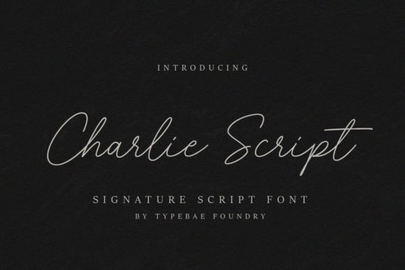 Charlie Script: The Elegant Typeface for Small Business Branding