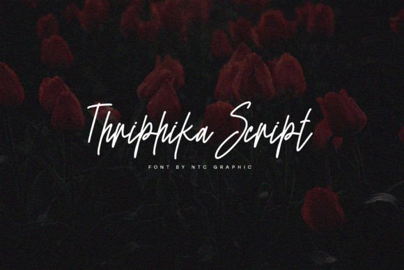 Elevate Your Brand with Thriphika Script Typeface